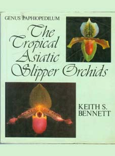 The Tropical Asiatic Slipper Orchids