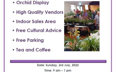 Species Orchid Sale Day